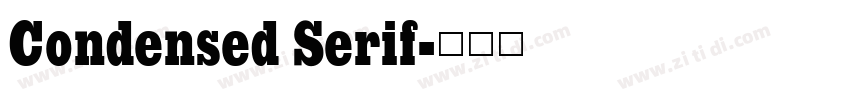Condensed Serif字体转换